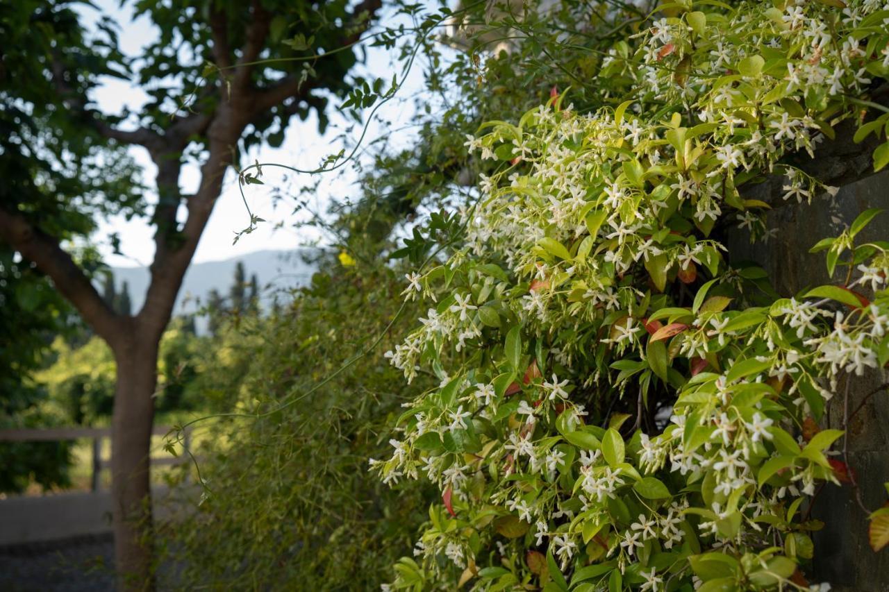Jasmine Villa Platanidia